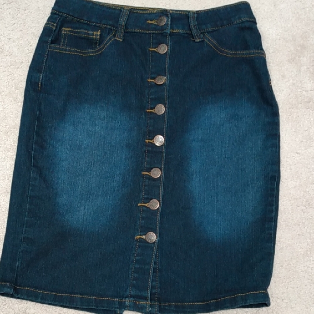 Blue Pencil Skirt Knee-Length Casual